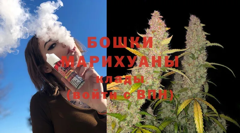 цены наркотик  Кашин  Бошки Шишки OG Kush 